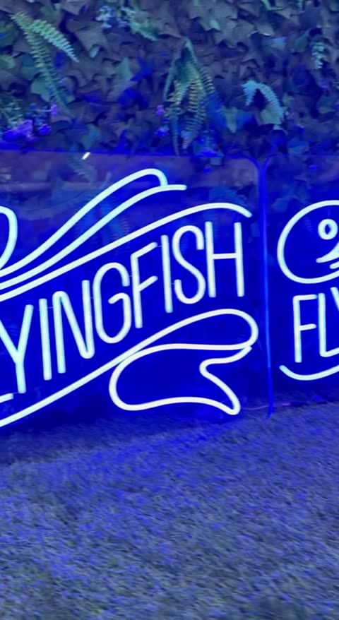 Merkkleur in neon voor Flying Fish
